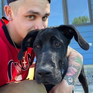 Meet your Posher, Connor